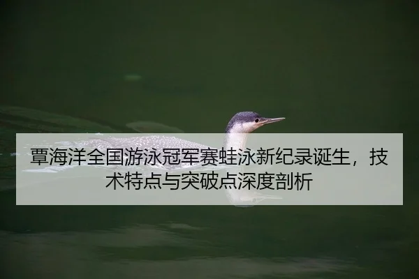 tan-hai-yang-quan-guo-you-yong-guan-jun-sai-wa-yong-xin-ji-lu-dan-sheng-ji-shu-te-dian-yu-tu-po-dian-shen-du-pou-xi-2-151.jpg