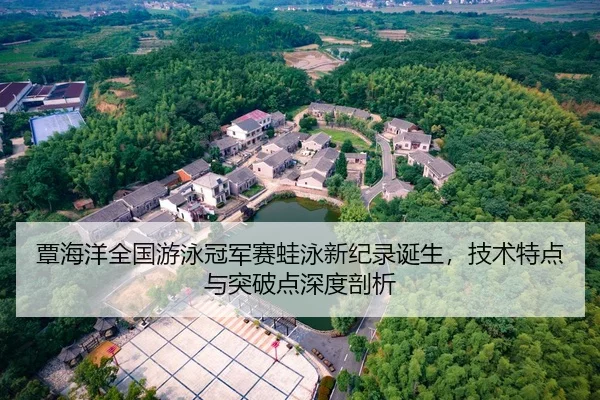 覃海洋全国游泳冠军赛蛙泳新纪录诞生，技术特点与突破点深度剖析