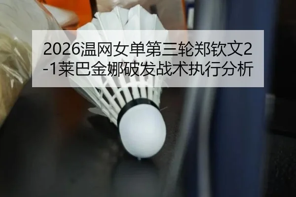 wen-wang-nv-dan-di-san-lun-zheng-qin-wen-lai-ba-jin-na-po-fa-zhan-shu-zhi-xing-fen-xi-3-262.jpg