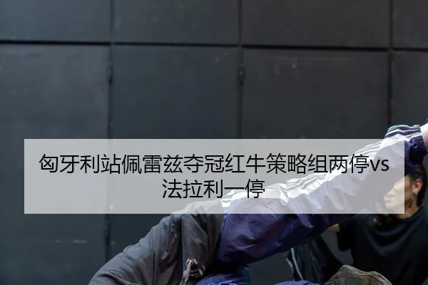 xiong-ya-li-zhan-pei-lei-zi-duo-guan-hong-niu-ce-lve-zu-liang-ting-fa-la-li-yi-ting-2-616.jpg